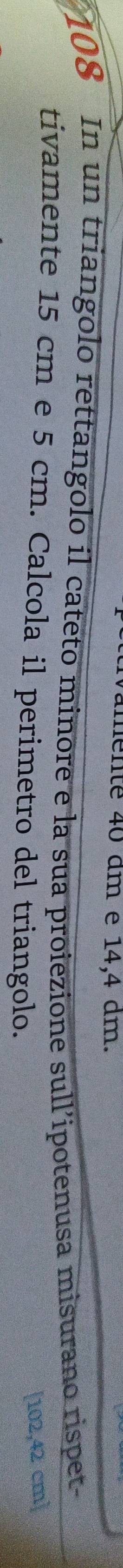 amente 40 dm e 14,4 dm.
108 In un triangolo rettangolo il cateto minore e la sua proiezione sull’ipotenusa misurano rispet- 
tivamente 15 cm e 5 cm. Calcola il perimetro del triangolo.
[102,42 cm ]