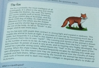 a mwer the questions belnw 
The fox 
The fox is probably the most intelligent of all 
guumapeds. It a allied to the dog and cleaely 
esemblex the Alsatian, the wor, the hyera, 
she covote (praine-wolf of North Amerca). 
she dingo (nalive dog of Austraña), and the 
dhole (wild dog of india). Its chief points of 
difference from the others are the sharper 
m azle and the shorter legs in proportion to 
longer, and its ears more erect. te sue of the body. Its tail or "brush" is also 
The fox has eyes with pupils that contract in strong light and expand in darkness. This 
nables the animal to hunt at night. Il excavates its own lair by burrowled much This 
bot, but frequently it is a thief in this respect as it steals burrows from of Buch like a 
and conerts them into its own "earth" . The cunning and smess of the other ann sow 
by the number of exits so its faim. As many as ten bolt holes from the tow slmat is show 
oen counted. Its power of scent is very acute, and its hearing very highly deveo uety 
mal has a peculiar strong scent, which leaves the "trail" in the so-called sevelop te 
hunting. When the chase is keen, Reynard frequently escapes by dashing mo w of los 
onen drainpipes. For this remon one may see gratings placed over the mouths or e and 
medride and field drains. When comered by the hounds the animal has been i he thany 
Is pursuers lmb rools of houses and to dash into nearby cottages in desperate efforts to shake off 
What is a quadruped?