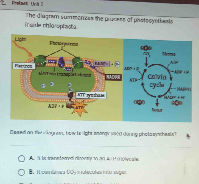 Pretest: Unit 2
The diagram summarizes the process of photosynthesis
inside chloroplasts.
Based on the diagram, how is light energy used during photosynthesis?
A. It is transferred directly to an ATP molecule.
B. It combines CO_2 molecules into sugar.