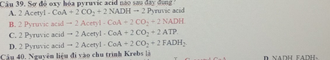 Sơ độ oxy hóa pyruvic acid não sau đây đụng'
A. 2Acety1-CoA+2CO_2+2NADHto 2Py yruvic acid
B. 2 Pyruvic ac id to 2Acety1-CoA+2CO_2+2NADH.
C. 2 Pyruvi ca cid to 2Acety1-CoA+2CO_2+2ATP.
D. 2 Pyruvic acid to 2Acety1-CoA+2CO_2+2FADH_2. 
Câu 40. Nguyên liệu đi vào chu trình Krebs là D. NADH FADH