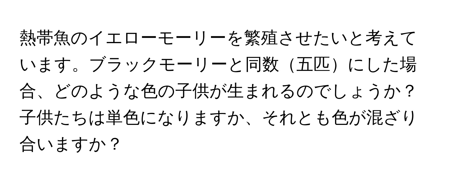 熱帯魚のイエローモーリーを繁殖させたいと考えています。ブラックモーリーと同数五匹にした場合、どのような色の子供が生まれるのでしょうか？子供たちは単色になりますか、それとも色が混ざり合いますか？