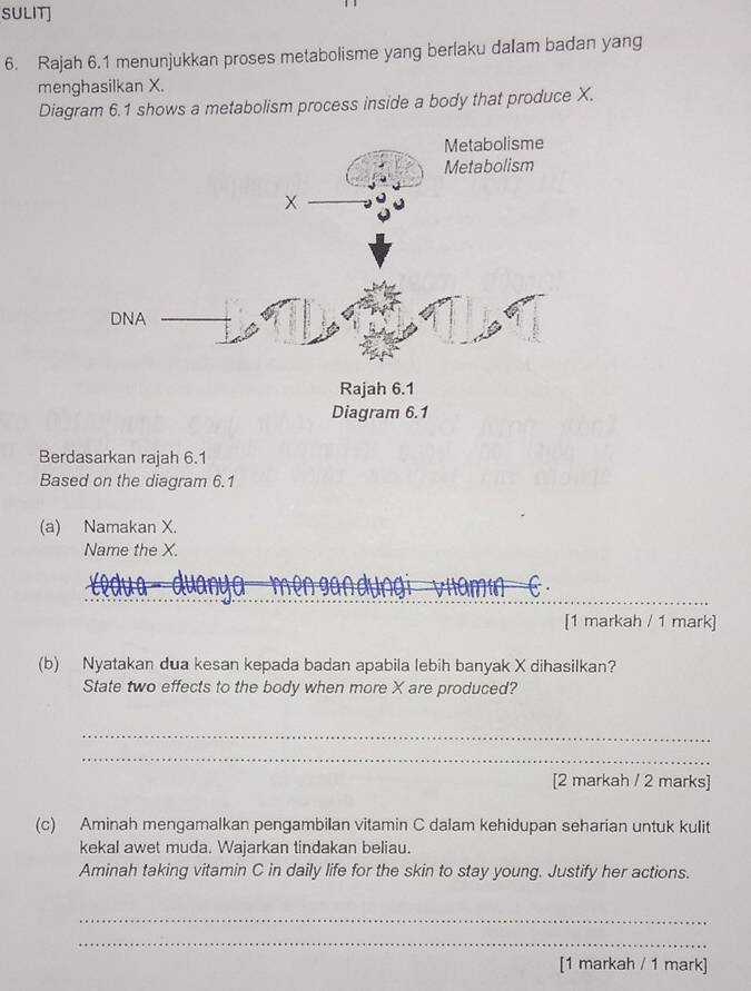 SULIT] 
6. Rajah 6.1 menunjukkan proses metabolisme yang berlaku dalam badan yang 
menghasilkan X. 
Diagram 6.1 shows a metabolism process inside a body that produce X. 
Berdasarkan rajah 6.1 
Based on the diagram 6.1 
(a) Namakan X. 
Name the X. 
_ 
[1 markah / 1 mark] 
(b) Nyatakan dua kesan kepada badan apabila lebih banyak X dihasilkan? 
State two effects to the body when more X are produced? 
_ 
_ 
[2 markah / 2 marks] 
(c) Aminah mengamalkan pengambilan vitamin C dalam kehidupan seharian untuk kulit 
kekal awet muda. Wajarkan tindakan beliau. 
Aminah taking vitamin C in daily life for the skin to stay young. Justify her actions. 
_ 
_ 
[1 markah / 1 mark]