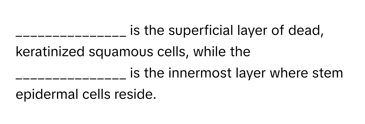 is the superficial layer of dead, keratinized squamous cells, while the _______________ is the innermost layer where stem epidermal cells reside.