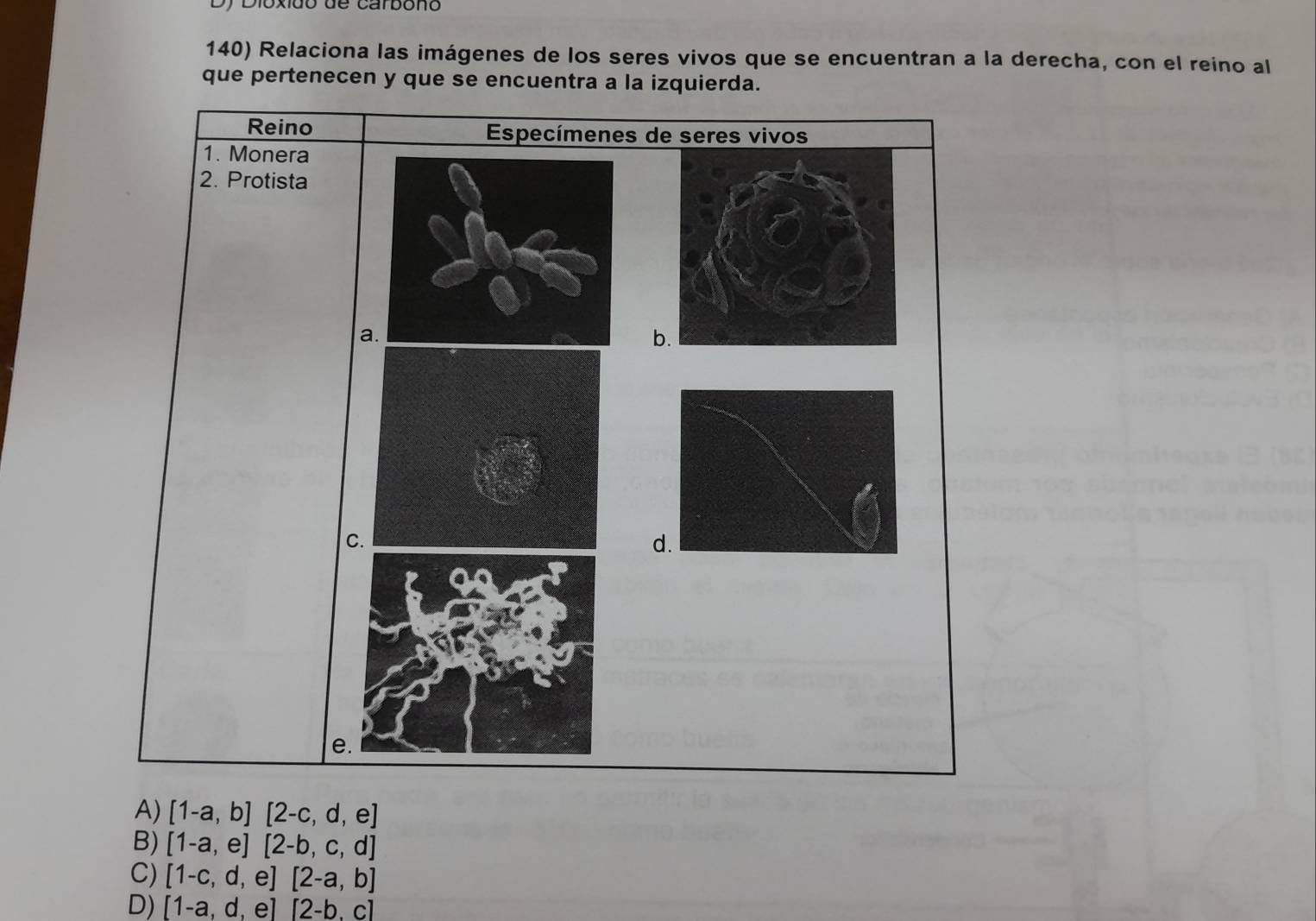 Dy Dioxido de carbono
140) Relaciona las imágenes de los seres vivos que se encuentran a la derecha, con el reino al
que pertenecen y que se encuentra a la izquierda.
Reino Especímenes de seres vivos
1. Monera
2. Protista
a
b
C.
d
e.
A) [1-a,b][2-c,d,e]
B) [1-a,e][2-b,c,d]
C) [1-c,d,e][2-a,b]
D) [1-a,d,e][2-b,c]