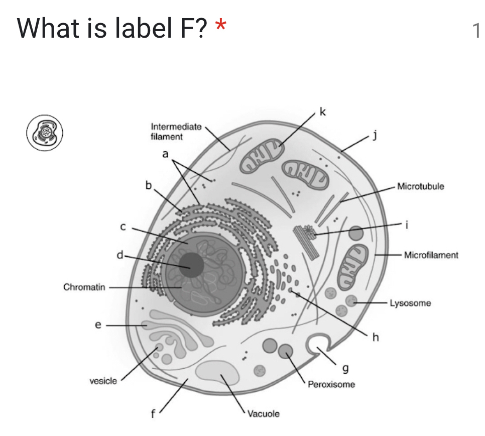 What is label F? * 1