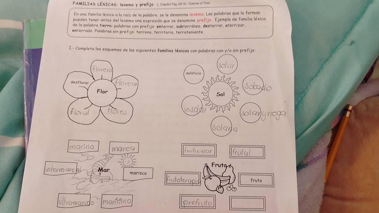 FAMILIAS LÉXICAS: lexema y prefijo L. Español Pág. 60 -61. Ilumina al final. 
En una familia léxica a la raíz de la palabra se le denomina lexema. Las palabras que la forman 
pueden tener antes del lexema una expresión que se denomina prefijo. Ejemplo de familia léxica 
de la palabra tierra: palabras con prefijo: enterrar, subterráneo, desterrar, aterrizar, 
enterrado. Palabras sin prefijo: terreno, territorio, terrateniente. 
I.- Completa los esquemas de las siguientes familias léxicas con palabras con y/o sin prefijo: 

marina mqreq 
Fruta 
rm are Mar 
marisco 
fruto 
amarino mantimo