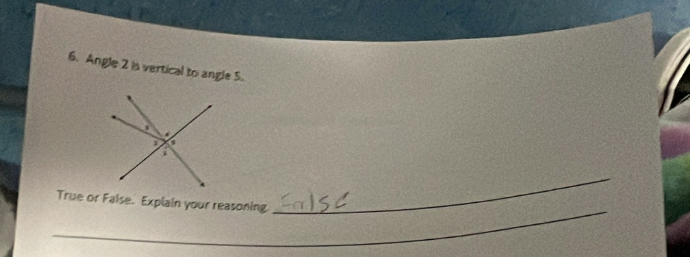 Angle 2 is vertical to angle 5. 
_ 
_ 
True or False. Explain your reasoning