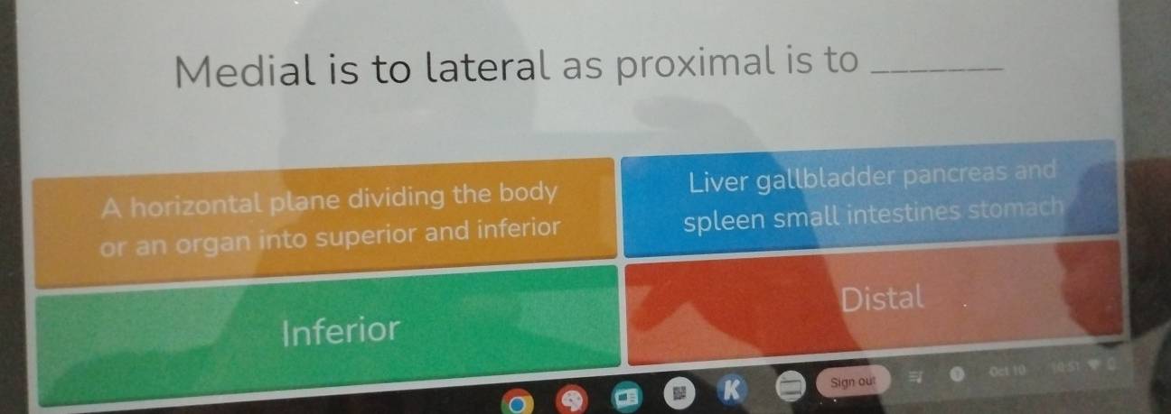 Medial is to lateral as proximal is to_
A horizontal plane dividing the body Liver gallbladder pancreas and
or an organ into superior and inferior spleen small intestines stomach
Distal
Inferior
Sign out