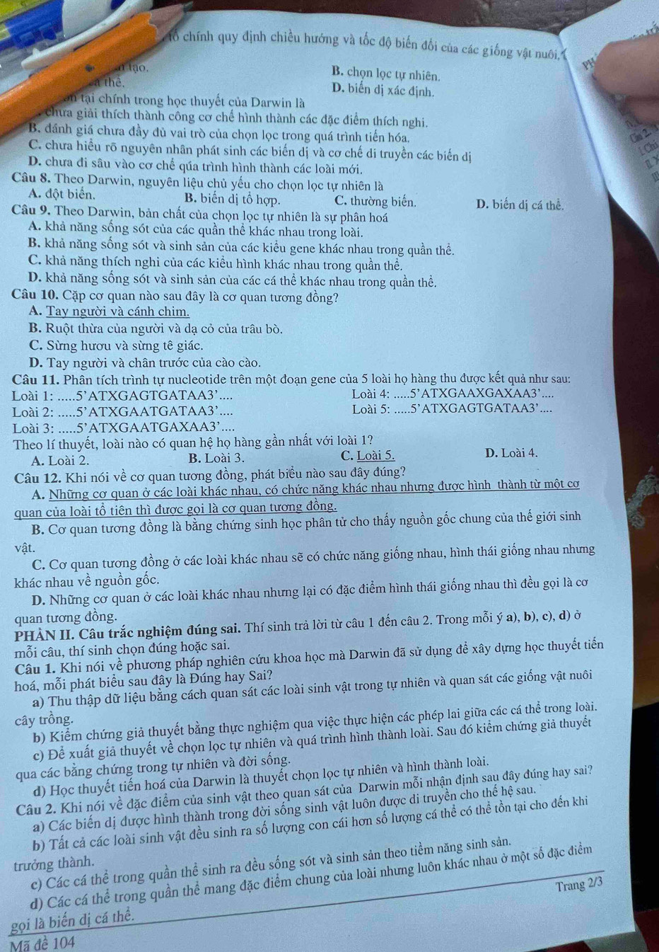 Tổ chính quy định chiều hướng và tốc độ biến đổi của các giống vật nuôi,
α tạo.
B. chọn lọc tự nhiên.
a thể. PH
D. biến dị xác định.
on tại chính trong học thuyết của Darwin là
chưa giải thích thành công cơ chế hình thành các đặc điểm thích nghi.
B. dánh giá chưa đầy đù vai trò của chọn lọc trong quá trình tiến hóa. Ca 2. 3
LChi
C. chưa hiều rõ nguyên nhân phát sinh các biến dị và cơ chế di truyền các biến dị ax
D. chưa đi sâu vào cơ chế qúa trình hình thành các loài mới. 1
Câu 8. Theo Darwin, nguyên liệu chủ yếu cho chọn lọc tự nhiên là
A. đột biển. B. biển dị tổ hợp. C. thường biến. D. biến dị cá thể.
Câu 9. Theo Darwin, bản chất của chọn lọc tự nhiên là sự phân hoá
A. khả năng sống sót của các quần thể khác nhau trong loài.
B. khả năng sống sót và sinh sản của các kiểu gene khác nhau trong quần thể.
C. khả năng thích nghi của các kiểu hình khác nhau trong quần thể.
D. khả năng sống sót và sinh sản của các cá thể khác nhau trong quần thể.
Câu 10. Cặp cơ quan nào sau đây là cơ quan tương đồng?
A. Tay người và cánh chim.
B. Ruột thừa của người và dạ cỏ của trâu bò.
C. Sừng hươu và sừng tê giác.
D. Tay người và chân trước của cào cào.
Câu 11. Phân tích trình tự nucleotide trên một đoạn gene của 5 loài họ hàng thu được kết quả như sau:
Loài 1: _ 5' ATXGAGTGATAA3’ .. Loài 4: ….. 5^, ATXGAAXGAXAA3’....
Loài 2: _ 5^, ATXGAATGATAA3’ -_ Loài 5: .....5’ATXGAGTGATAA3’....
Loài 3: hid 5' ATXGAATGAXAA3’....
Theo lí thuyết, loài nào có quan hệ họ hàng gần nhất với loài 1?
A. Loài 2. B. Loài 3. C. Loài 5. D. Loài 4.
Câu 12. Khi nói về cơ quan tương đồng, phát biều nào sau đây đúng?
A. Những cơ quan ở các loài khác nhau, có chức năng khác nhau nhưng được hình thành từ một cơ
quan của loài tổ tiên thì được gọi là cơ quan tương đồng.
B. Cơ quan tương đồng là bằng chứng sinh học phân tử cho thấy nguồn gốc chung của thế giới sinh
vật.
C. Cơ quan tương đồng ở các loài khác nhau sẽ có chức năng giống nhau, hình thái giống nhau nhưng
khác nhau về nguồn gốc.
D. Những cơ quan ở các loài khác nhau nhưng lại có đặc điểm hình thái giống nhau thì đều gọi là cơ
quan tương đồng.
PHÀN II. Câu trắc nghiệm đúng sai. Thí sinh trả lời từ câu 1 đến câu 2. Trong mỗi ý a), b), c), d) ở
mỗi câu, thí sinh chọn đúng hoặc sai.
Câu 1. Khi nói về phương pháp nghiên cứu khoa học mà Darwin đã sử dụng để xây dựng học thuyết tiến
hoá, mỗi phát biểu sau đây là Đúng hay Sai?
a) Thu thập dữ liệu bằng cách quan sát các loài sinh vật trong tự nhiên và quan sát các giống vật nuôi
cây trồng.
b) Kiểm chứng giả thuyết bằng thực nghiệm qua việc thực hiện các phép lai giữa các cá thể trong loài.
c) Để xuất giả thuyết về chọn lọc tự nhiên và quá trình hình thành loài. Sau đó kiểm chứng giả thuyết
qua các bằng chứng trong tự nhiên và đời sống.
d) Học thuyết tiến hoá của Darwin là thuyết chọn lọc tự nhiên và hình thành loài.
Câu 2. Khi nói về đặc điểm của sinh vật theo quan sát của Darwin mỗi nhận định sau đây đúng hay sai?
a) Các biến dị được hình thành trong đời sống sinh vật luôn được di truyền cho thế hệ sau.
b) Tất cả các loài sinh vật đều sinh ra số lượng con cái hơn số lượng cá thể có thể tồn tại cho đến khi
c) Các cá thể trong quần thể sinh ra đều sống sót và sinh sản theo tiềm năng sinh sản.
trưởng thành.
d) Các cá thể trong quần thể mang đặc điểm chung của loài nhưng luôn khác nhau ở một số đặc điểm
Trang 2/3
gọi là biến đị cá thể.
Mã đề 104