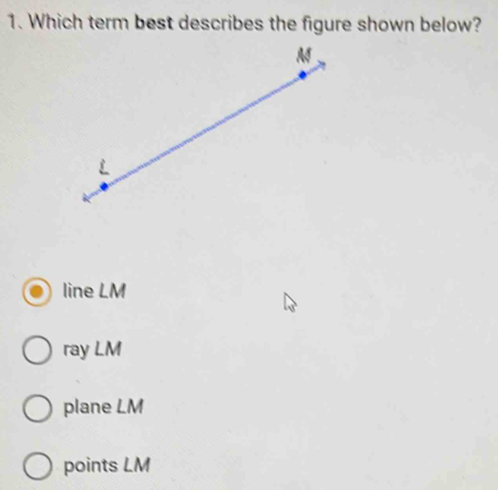 Which term best describes the figure shown below?
line LM
ray LM
plane LM
points LM