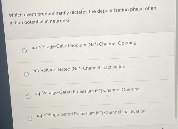 Which event predominantly dictates the depolarization phase of an
action potential in neurons?
a.) Voltage-Gated Sodium (Na*) Channel Opening
b.) Voltage-Gated (Na*) Channel Inactivation
c.) Voltage-Gated Potassium (K*) Channel Opening
d.) Voltage-Gated Potassium (K*) Channel Inactivation