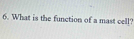 What is the function of a mast cell?