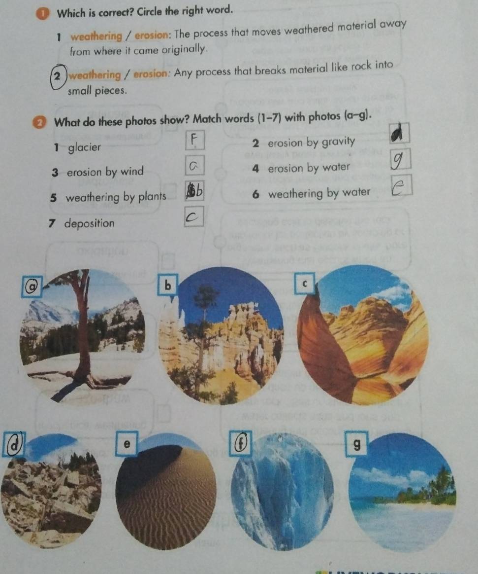 ① Which is correct? Circle the right word.
] weathering / erosion: The process that moves weathered material away
from where it came originally.
2 )weathering / erosion: Any process that breaks material like rock into
small pieces.
② What do these photos show? Match words (1-7) with photos (a-g).
F
1 glacier 2 erosion by gravity
3 erosion by wind 4 erosion by water
5 weathering by plants 6 weathering by water
7 deposition