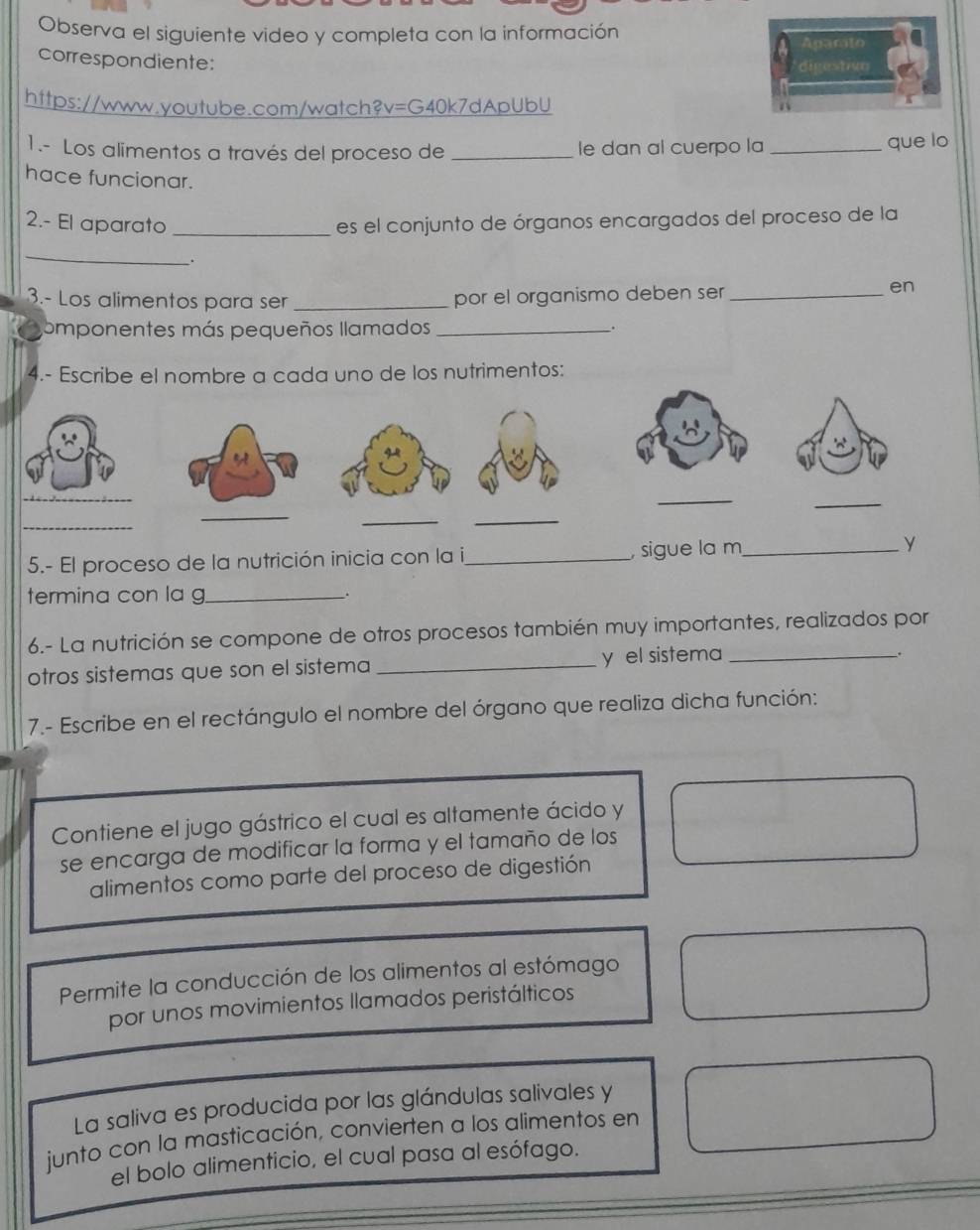 Observa el siguiente video y completa con la información 
correspondiente: 
https://www.youtube.com/watch?v=G40k7dApUbU 
1.- Los alimentos a través del proceso de _le dan al cuerpo la _que lo 
hace funcionar. 
2.- El aparato _es el conjunto de órganos encargados del proceso de la 
_ 
. 
3.- Los alimentos para ser _por el organismo deben ser_ 
en 
omponentes más pequeños llamados_ . 
4.- Escribe el nombre a cada uno de los nutrimentos: 
_ 
_ 
_ 
_ 
_ 
_ 
_ 
5.- El proceso de la nutrición inicia con la i_ , sigue la m_ 
termina con la g._ 
6.- La nutrición se compone de otros procesos también muy importantes, realizados por 
otros sistemas que son el sistema _y el sistema_ 
. 
7.- Escribe en el rectángulo el nombre del órgano que realiza dicha función: 
Contiene el jugo gástrico el cual es altamente ácido y 
se encarga de modificar la forma y el tamaño de los 
alimentos como parte del proceso de digestión 
Permite la conducción de los alimentos al estómago 
por unos movimientos llamados peristálticos 
La saliva es producida por las glándulas salivales y 
junto con la masticación, convierten a los alimentos en 
el bolo alimenticio, el cual pasa al esófago.