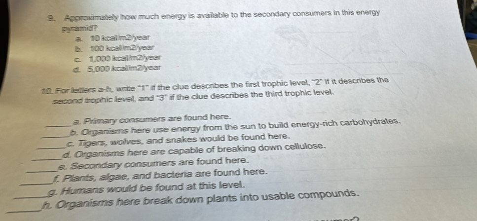 Approximately how much energy is available to the secondary consumers in this energy
pyramid?
a. 10 kcal/m2/year
b. 100 kcal/m2/year
c. 1,000 kcal/m2/year
d. 5,000 kcal/m2/year
10. For letters a-h, write “ 1 ” if the clue describes the first trophic level, 2° if it describes the
second trophic level, and “ 3 ” if the clue describes the third trophic level.
a. Primary consumers are found here.
_b. Organisms here use energy from the sun to build energy-rich carbohydrates.
_c. Tigers, wolves, and snakes would be found here.
_d. Organisms here are capable of breaking down cellulose.
e. Secondary consumers are found here.
_f. Plants, algae, and bacteria are found here.
_g. Humans would be found at this level.
_
_h. Organisms here break down plants into usable compounds.