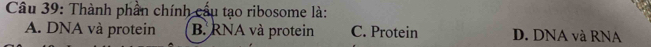 Thành phần chính cầu tạo ribosome là:
A. DNA và protein B. RNA và protein C. Protein D. DNA và RNA