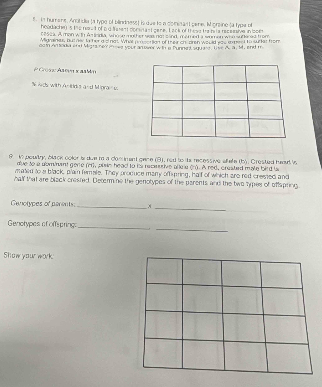 In humans, Antitidia (a type of blindness) is due to a dominant gene. Migraine (a type of 
headache) is the result of a different dominant gene. Lack of these traits is recessive in both 
cases. A man with Antitidia, whose mother was not blind, married a woman who suffered from 
Migraines, but her father did not. What proportion of their children would you expect to suffer from 
both Antitidia and Migraine? Prove your answer with a Punnett square. Use A, a, M, and m. 
P Cross: Aamm x aaMm 
% kids with Anitidia and Migraine: 
9. In poultry, black color is due to a dominant gene (B), red to its recessive allele (b). Crested head is 
due to a dominant gene (H), plain head to its recessive allele (h). A red, crested male bird is 
mated to a black, plain female. They produce many offspring, half of which are red crested and 
half that are black crested. Determine the genotypes of the parents and the two types of offspring. 
Genotypes of parents: _x_ 
_ 
Genotypes of offspring:_ 
Show your work: