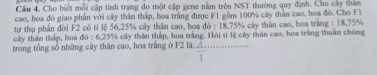 Câu 4, Cho biết mỗi cặp tính trạng do một cặp gene nằm trên NST thường quy định. Cho cây thần 
cao, hoa đỏ giao phần với cây thân thấp, hoa trắng được F1 gồm 100% cây thần cao, hoa đỏ. Cho F1 
tự thụ phần đời F2 có tỉ lệ 56, 25% cây thân cao, hoa đỏ : 18, 75% cây thân cao, hoa trắng : 18, 75%
cây thân thấp, hoa đỏ : 6,25% cây thân thấp, hoa trắng. Hỏi tỉ lệ cây thân cao, hoa trắng thuần chúng 
trong tổng sổ những cây thân cao, hoa trắng ở F2 là. _