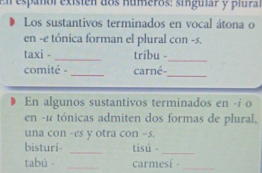 El español existen dos números: síngular y plural 
Los sustantivos terminados en vocal átona o 
en -e tónica forman el plural con -s. 
taxi - _tribu -_ 
comité -_ carné-_ 
En algunos sustantivos terminados en -í o 
en -é tónicas admiten dos formas de plural, 
una con -es y otra con =s. 
bisturi- _tisú -_ 
tabú - _carmesí -_