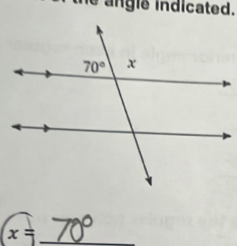 he angle indicated.
x= _