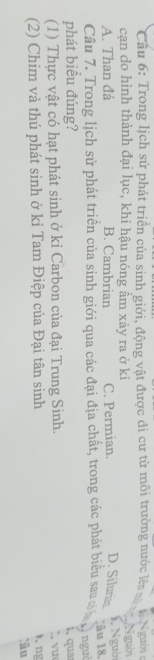 Cầu 6: Trong lịch sử phát triển của sinh giới, động vật được di cư từ môi trường nước lên m * Người c
cạn do hình thành đại lục, khí hậu nóng ẩm xảy ra ở kiỉ Người
A. Than đá B. Cambrian C. Permian. D. Silurian 1. Người
Câu 7. Trong lịch sử phát triển của sinh giới qua các đại địa chất, trong các phát biểu sau có a lâu 18.
ngườ
phát biểu đúng? i. quai
(1) Thực vật có hạt phát sinh ở kỉ Carbon của đại Trung Sinh.
vu
(2) Chim và thú phát sinh ở kỉ Tam Điệp của Đại tân sinh
). ng
Xâu
