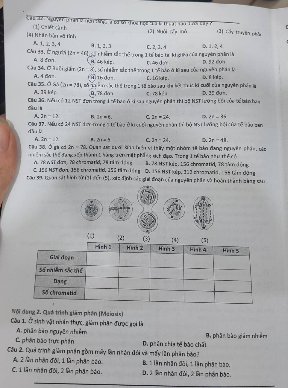 Cau 32. Nguyen phan là nền tâng, là cơ sở khoa học của kí thuật nào dưới day ? (3) Cấy truyền phôi
(1) Chiết cành
(2) Nuôi cấy mô
(4) Nhân bản vô tính
A. 1, 2, 3, 4 B. 1, 2, 3 C. 2, 3, 4 D. 1, 2, 4
Câu 33. Ở người (2n=46) C số nhiễm sắc thể trong 1 tế bào tại kì giữa của nguyên phân là
A. 8 đơn. B. 46 kép. C. 46 đơn. D. 92 đơn.
Câu 34. Ở Ruồi giấm (2n=8) 0, số nhiễm sắc thể trong 1 tế bào ở kì sau của nguyên phân là
A. 4 đơn. B. 16 đơn. C. 16 kép. D. 8 kép.
Câu 35. OGa(2n=78) , số nhiễm sắc thể trong 1 tế bào sau khi kết thúc kì cuối của nguyên phân là
A. 39 kép. B. 78 đơn. C. 78 kép. D. 39 đơn.
Câu 36. Nếu có 12 NST đơn trong 1 tế bào ở kì sau nguyên phân thì bộ NST lưỡng bội của tế bào ban
đầu là
A. 2n=12. B. 2n=6. C. 2n=24. D. 2n=36.
Câu 37. Nếu có 24 NST đơn trong 1 tế bào ở kì cuối nguyên phân thì bộ NST lưỡng bội của tế bào ban
đầu là
A. 2n=12. B. 2n=6. C. 2n=24. D. 2n=48.
Câu 38. Ở gà có 2n=78 3. Quan sát dưới kính hiển vi thấy một nhóm tế bào đang nguyên phân, các
nhiễm sắc thể đang xếp thành 1 hàng trên mặt phẳng xích đạo. Trong 1 tế bào như thế có
A. 78 NST đơn, 78 chromatid, 78 tâm động B. 78 NST kép, 156 chromatid, 78 tâm động
C. 156 NST đơn, 156 chromatid, 156 tâm động D. 156 NST kép, 312 chromatid, 156 tâm động
Câu 39. Quan sát hình từ (1) đến (5), xác định các giai đoạn của nguyên phân và hoàn thành bảng sau
(1) (2) (3) 
Nội dung 2. Quá trình giảm phân (Meiosis)
Câu 1. Ở sinh vật nhân thực, giảm phân được gọi là
A. phân bào nguyên nhiễm
B. phân bào giảm nhiễm
C. phân bào trực phân D. phân chia tế bào chất
Câu 2. Quá trình giảm phân gồm mấy lần nhân đôi và mấy lần phân bào?
A. 2 lần nhân đôi, 1 lần phân bào. B. 1 lần nhân đôi, 1 lần phân bào.
C. 1 lần nhân đôi, 2 lần phân bào. D. 2 lần nhân đôi, 2 lần phân bào.