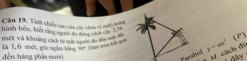 Tính chiều cao của cây (đơn vị mét) trong 
hình bên, biết rằng người đo đứng cách cây 2,56
mét và khoảng cách từ mắt người đo đến mặt đất 
(P) 
là 1,6 mét, góc ngắm bằng 90° (làm tròn kết quả 
đến hàng phần mười)
y=ax^2
n M cách đỉ 
; dây