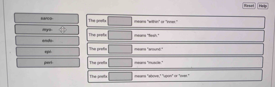 Reset Help
sarco- The prefix means "within" or "inner."
myo-
The prefix means "flesh."
endo-
epi- The prefix means "around."
peri- The prefix means "muscle."
The prefix means "above," "upon" or "over."