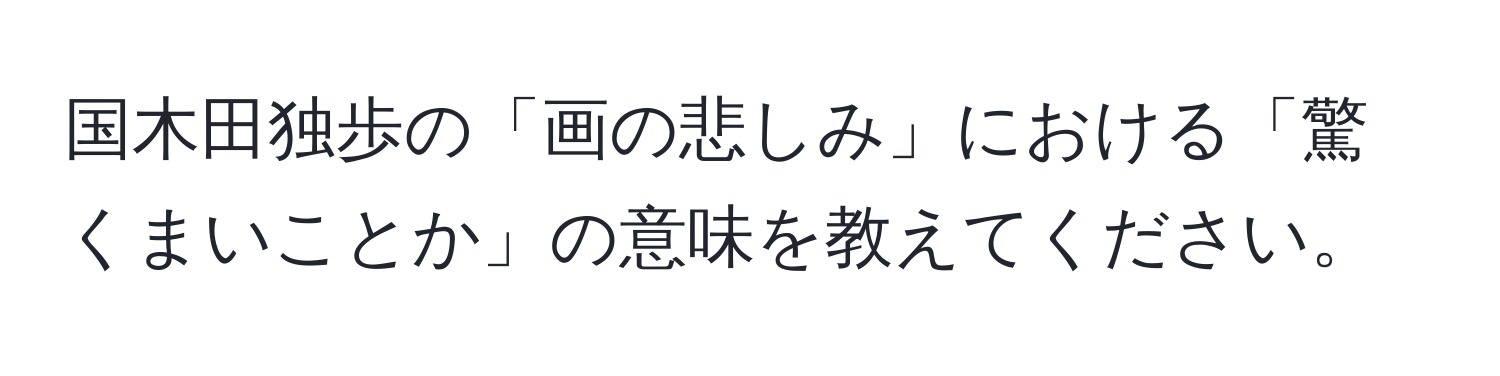 国木田独歩の「画の悲しみ」における「驚くまいことか」の意味を教えてください。