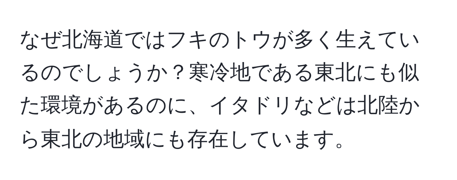 なぜ北海道ではフキのトウが多く生えているのでしょうか？寒冷地である東北にも似た環境があるのに、イタドリなどは北陸から東北の地域にも存在しています。