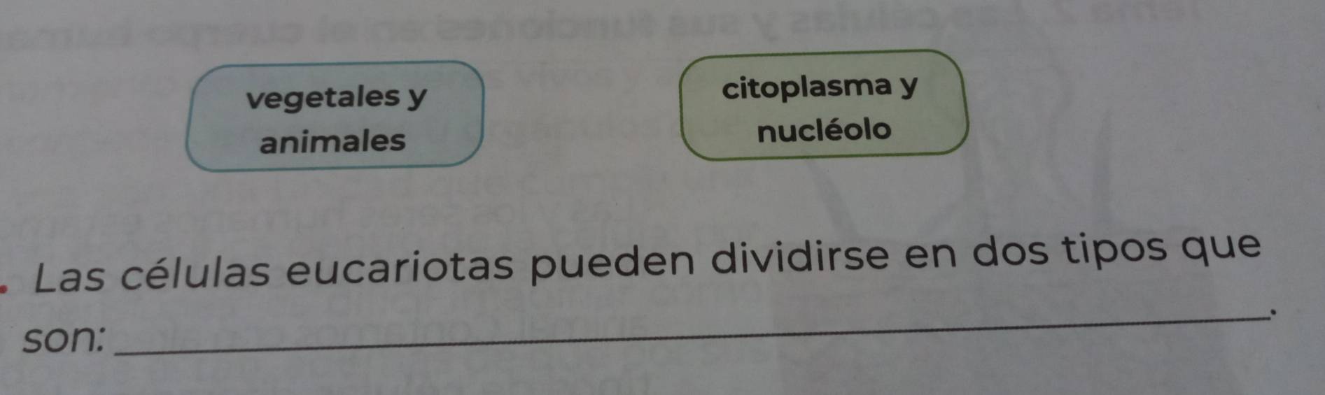 vegetales y citoplasma y
animales nucléolo
. Las células eucariotas pueden dividirse en dos tipos que
_.
son: