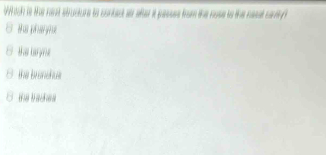 Which is the nend structure to contact as after it passes from the nose to the nasst carrty
the pharynz
the taryne
the branshus
the traches