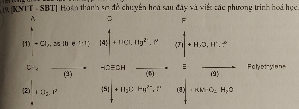 [ 19. KNTT - SBT] Hoàn thành sơ đồ chuyển hoá sau đây và viết các phương trình hoá học. 
A 
C
beginpmatrix 1end(pmatrix)^4+Cl_2. , as (ti lê 1:1) (4)|+HCl, Hg^(2+), I^0
|
beginpmatrix 7 7endpmatrix |+H_2O, H^+, t^0
CH_4to (3) HCequiv CHto Eto  (9) Polyethylene
(2)|+O_2, t°
(5)|+H_2O, Hg^(2+), t°(8)|+KMnO_4, H_2O