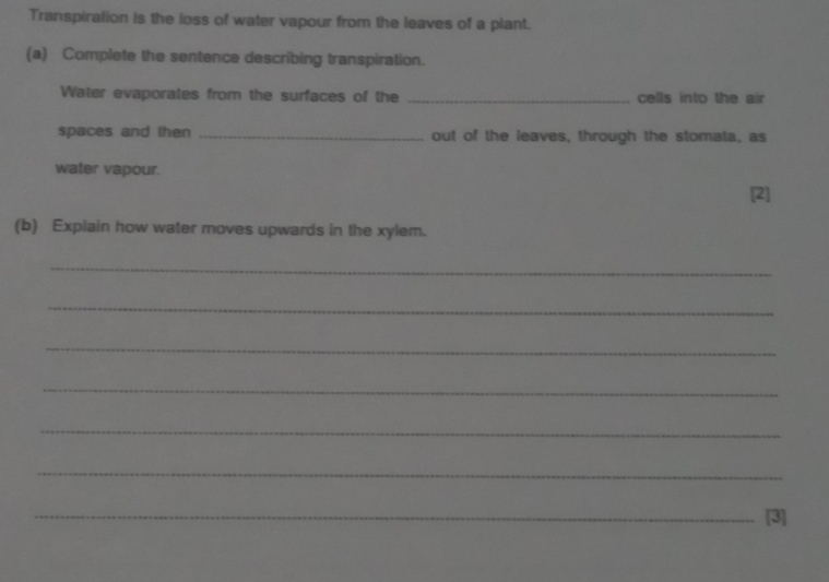 Transpiration is the loss of water vapour from the leaves of a plant. 
(a) Complete the sentence describing transpiration. 
Water evaporates from the surfaces of the _cells into the air 
spaces and then _out of the leaves, through the stomata, as 
water vapour. 
[2] 
(b) Explain how water moves upwards in the xylem. 
_ 
_ 
_ 
_ 
_ 
_ 
_[3]