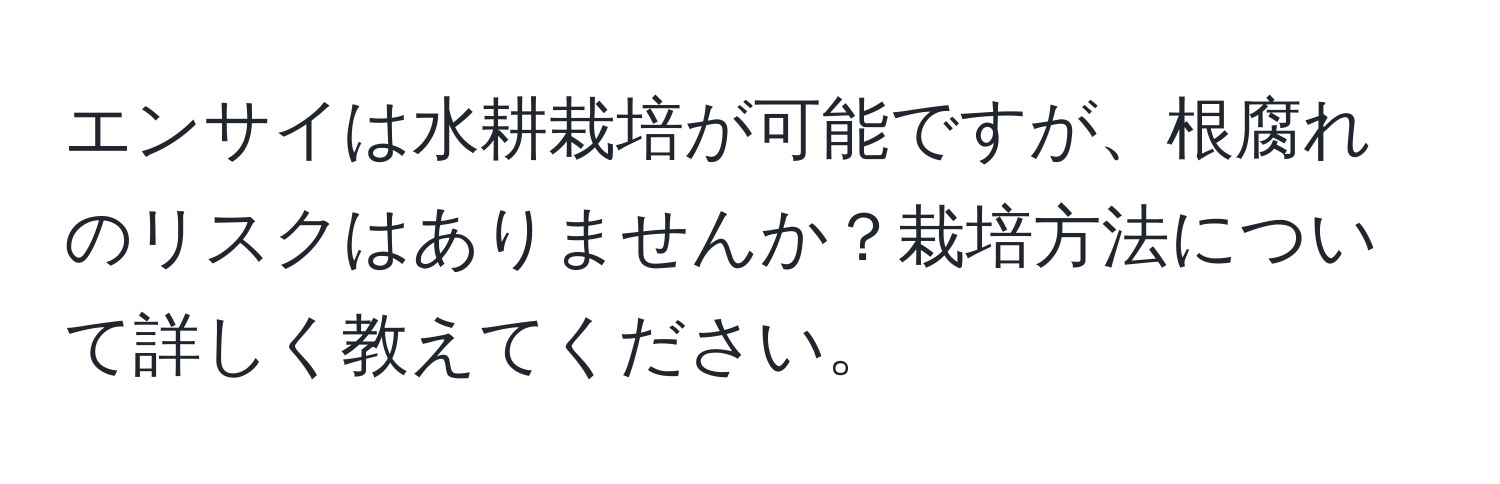 エンサイは水耕栽培が可能ですが、根腐れのリスクはありませんか？栽培方法について詳しく教えてください。