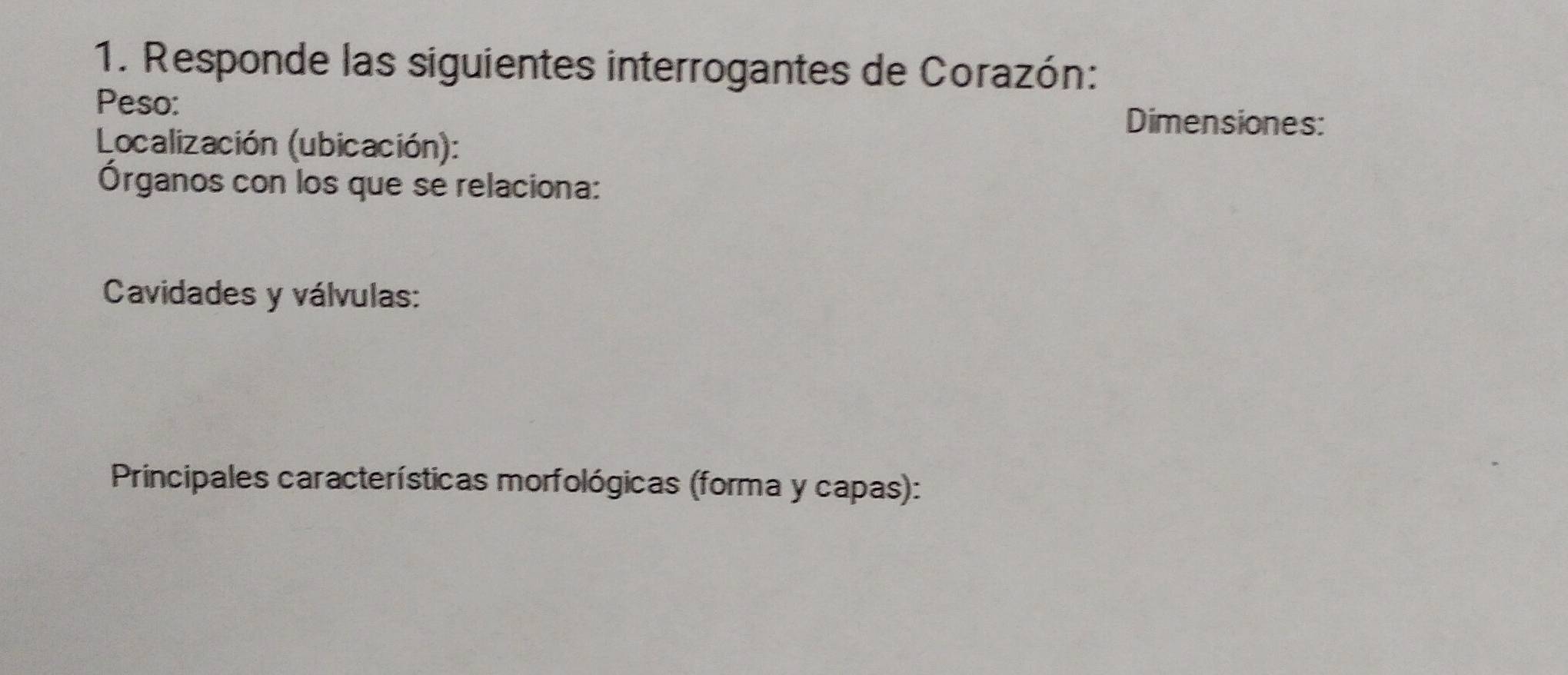 Responde las siguientes interrogantes de Corazón: 
Peso: Dimensiones: 
Localización (ubicación): 
Órganos con los que se relaciona: 
Cavidades y válvulas: 
Principales características morfológicas (forma y capas):