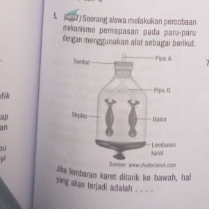 5 (L077 ) Seorang siswa melakukan percobaan 
mekanisme pernapasan pada paru-paru 
dengan menggunakan alat sebagai berikut. 

fik 
ap 
an 
ou 
vi 
wwwshatterstack.com 
Jika lembaran karet ditarik ke bawah, hal 
yang akan terjadi adalah . . . .