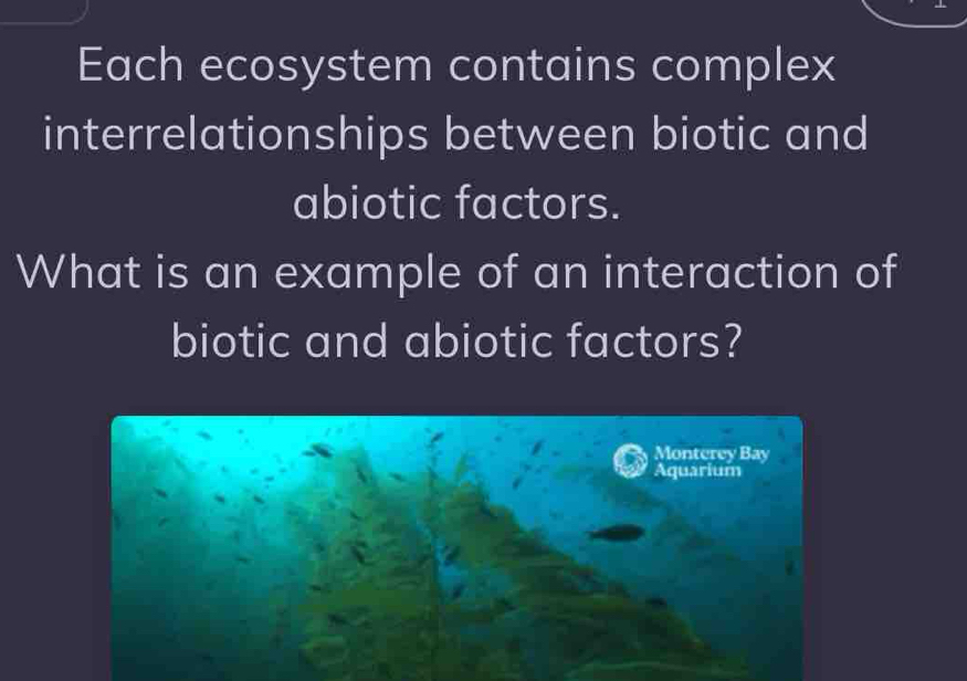 Each ecosystem contains complex 
interrelationships between biotic and 
abiotic factors. 
What is an example of an interaction of 
biotic and abiotic factors? 
Monterey Bay 
Aquarium