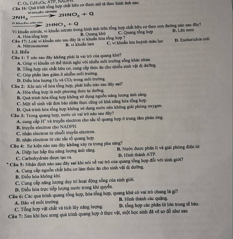 C. O_2,C_6H_12O_6;ATP, , NAPH
Câu 16: Quá trình tổng hợp chất hữu cơ được mô tả theo hình ảnh sau:
2NH_3to 2HNO_2+Q Vikhuẩn nitride
/ĩ khuẩn nitrate 2HNO_3+Q
Vi khuẩn nitride, vi khuẩn nitrate trong hình ảnh trên tổng hợp chất hữu cơ theo con đường nào sau đây?
A. Hóa tổng hợp B. Quang khử C. Quang tổng hợp D. Lên men
Câu 17: Loài vi khuẩn nào sau đây là vi khuẩn hóa tổng hợp ?
A. Nitrosomonas B. vi khuẩn lam C. vi khuẩn lưu huỳnh màu lục D. Escherichia coli
1.2. Hiểu
Câu 1: Ý nào sau đây không phải là vai trò của quang khứ?
A. Giúp vi khuẩn có thể thích nghi với nhiều môi trường sống khác nhau.
B. Tổng hợp các chất hữu cơ, cung cấp thức ăn cho nhiều sinh vật dị dưỡng.
C. Góp phần làm giảm ô nhiễm môi trường.
D. Điều hòa lượng O_2 và CO_2 trong môi trường.
Câu 2: Khi nói về hóa tổng hợp, phát biểu nào sau đây sai?
A. Hóa tổng hợp là một phương thức tự dưỡng.
B. Quá trình hóa tổng hợp không sử dụng nguồn năng lượng ánh sáng.
C. Một số sinh vật đơn bào nhân thực cũng có khả năng hóa tổng hợp.
D. Quá trình hóa tổng hợp không sử dụng nước nên không giải phóng oxygen.
Câu 3: Trong quang hợp, nước có vai trò nào sau đây?
A. cung cấp H* và truyền electron cho sắc tổ quang hợp ở trung tâm phản ứng.
B. truyền electron cho NADPH.
C. nhận electron từ chuỗi truyền electron.
D. nhận electron từ các sắc tố quang hợp.
Câu 4: Sự kiện nào sau đây không xảy ra trong pha sáng?
A. Diệp lục hấp thụ năng lượng ánh sáng. B. Nước được phân li và giải phóng điện tử
C. Carbohydrate được tạo ra. D. Hình thành ATP.
Câu 5: Nhận định nào sau đây sai khi nói về vai trò của quang tổng hợp đối với sinh giới?
A. Cung cấp nguồn chất hữu cơ làm thức ăn cho sinh vật dị dưỡng.
B. Điều hòa không khí.
C. Cung cấp năng lượng duy trì hoạt động sống của sinh giới.
D. Điều hòa trực tiếp lượng nước trong khí quyển.
Câu 6: Các qua trình quang tổng hợp, hóa tổng hợp, quang khử có vai trò chung là gì?
A. Bảo vệ môi trường.  B. Hình thành các quặng.
C. Tổng hợp vật chất và tích lũy năng lượng. D. tổng hợp các phân tử lớn trong tế bào.
Câu 7: Sau khi học song quá trình quang hợp ở thực vật, một học sinh đã vẽ sợ đồ như sau