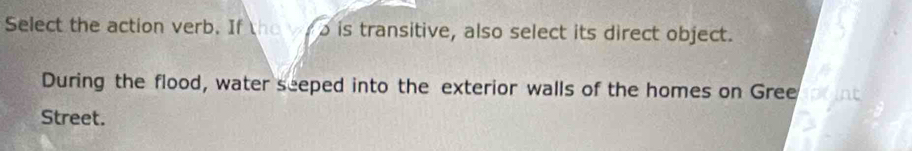 Select the action verb. If the vr o is transitive, also select its direct object. 
During the flood, water seeped into the exterior walls of the homes on Gree 
Street.