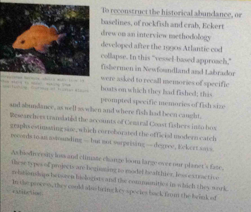 To reconstruct the historical abundance, or 
baselines, of rockfish and crab, Eckert 
drew on an interview methodology 
developed after the 1990s Atlantic cod 
collapse. In this “vessel-based approach,” 
fishermen in Newfoundland and Labrador 
Gesterna beranie adrira wodl lvre 11were asked to recall memories of specific 
that theii to knưạ making Vnm boats on which they had fished; this 
Geertlahing Gorkeng of Vriszan Biaios 
prompted specific memories of fish size 
and abundance, as well as when and where fish had been caught, 
Researchers translated the accounts of Central Coast fishers into box 
graphs estimating size, which corroborated the official modern catch 
records to an astounding — but not surprising — degree, Eckert says. 
As biodiversity loss and climate change loom large over our planet's fate. 
these types of projects are beginming to model healthier, less extractive 
relationships between biologists and the communities in which they work. 
In the process, they could also bring key species back from the brink of 
extinction