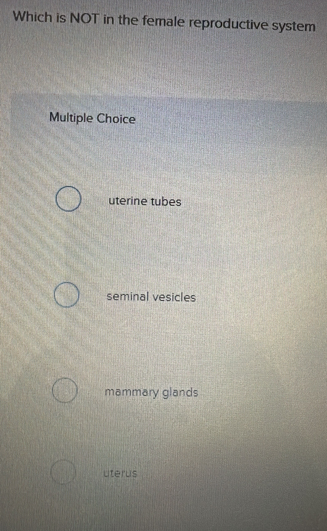 Which is NOT in the female reproductive system
Multiple Choice
uterine tubes
seminal vesicles
mammary glands
Uterus