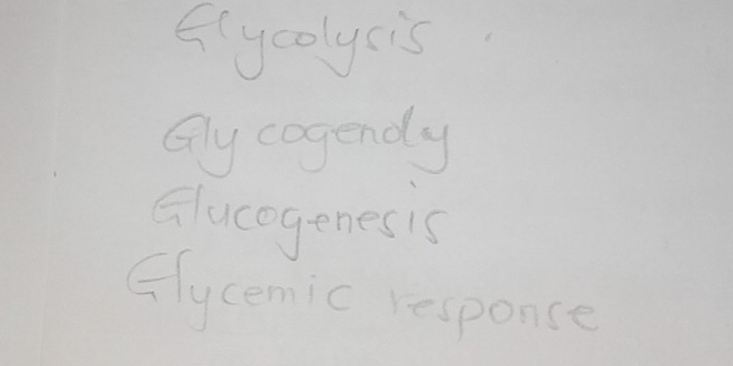 flycolycis
Oly cogendy
Elucogenesis
flycemic responce