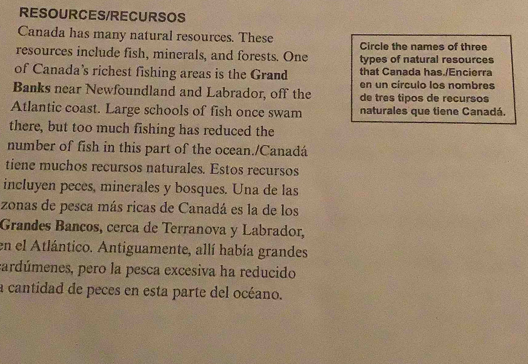 RESOURCES/RECURSOS 
Canada has many natural resources. These 
Circle the names of three 
resources include fish, minerals, and forests. One types of natural resources 
of Canada’s richest fishing areas is the Grand that Canada has./Encierra 
en un círculo los nombres 
Banks near Newfoundland and Labrador, off the de três tipos de recursos 
Atlantic coast. Large schools of fish once swam naturales que tiene Canadá. 
there, but too much fishing has reduced the 
number of fish in this part of the ocean./Canadá 
tiene muchos recursos naturales. Estos recursos 
incluyen peces, minerales y bosques. Una de las 
zonas de pesca más ricas de Canadá es la de los 
Grandes Bancos, cerca de Terranova y Labrador, 
en el Atlántico. Antiguamente, allí había grandes 
cardúmenes, pero la pesca excesiva ha reducido 
la cantidad de peces en esta parte del océano.