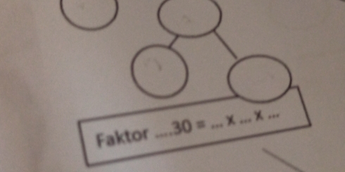 Faktor _ 30= _ _ x_ 