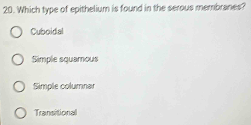 Which type of epithelium is found in the serous membranes?
Cuboidal
Simple squamous
Simple columnar
Transitional