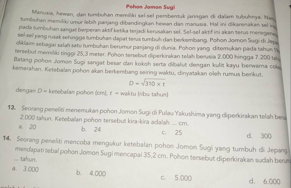 Pohon Jomon Sugi
Manusia, hewan, dan tumbuhan memiliki sel-sel pembentuk jaringan di dalam tubuhnya. Nam
tumbuhan memiliki umur lebih panjang dibandingkan hewan dan manusia. Hal ini dikarenakan sel in
pada tumbuhan sangat berperan aktif ketika terjadi kerusakan sel. Sel-sel aktif ini akan terus meregene
sel-sel yang rusak sehingga tumbuhan dapat terus tumbuh dan berkembang. Pohon Jomon Sugi di Jep
diklaim sebagai salah satu tumbuhan berumur panjang di dunia. Pohon yang ditemukan pada tahun 1%
tersebut memiliki tinggi 25,3 meter. Pohon tersebut diperkirakan telah berusia 2.000 hingga 7.200 tah
Batang pohon Jomon Sugi sangat besar dan kokoh serta dibalut dengan kulit kayu berwarna cok
kemerahan. Ketebalan pohon akan berkembang seiring waktu, dinyatakan oleh rumus berikut.
D=sqrt(310* t)
dengan D= ketebalan pohon (cm), t= waktu (ribu tahun)
13. Seorang peneliti menemukan pohon Jomon Sugi di Pulau Yakushima yang diperkirakan telah ber
2.000 tahun. Ketebalan pohon tersebut kira-kira adalah ... cm.
a. 20 b. 24
c. 25 d. 300
14. Seorang peneliti mencoba mengukur ketebalan pohon Jomon Sugi yang tumbuh di Jepang.
mendapati tebal pohon Jomon Sugi mencapai 35,2 cm. Pohon tersebut diperkirakan sudah berum
... tahun.
a. 3.000 b. 4.000
c. 5.000 d. 6,000