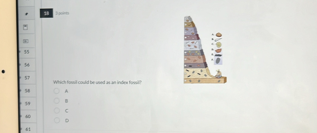 18 3 points
55
56
57
Which fossil could be used as an index fossil?
58
A
59
B 
C
60
D
61