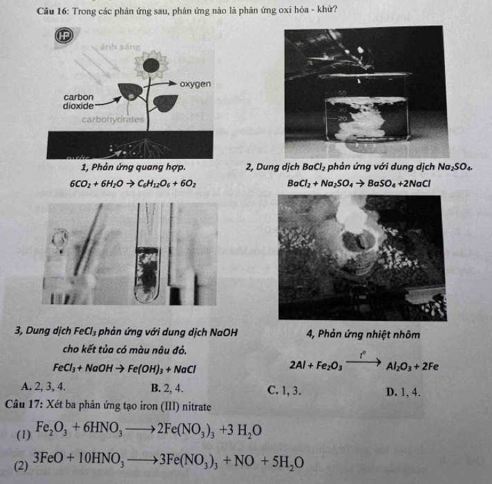 Trong các phản ứng sau, phản ứng nào là phản ứng oxi hóa - khử?

2, Dung dịch BaCl_2 phản ứng với dung dịch Na_2SO_4.
6CO_2+6H_2Oto C_6H_12O_6+6O_2
BaCl_2+Na_2SO_4to BaSO_4+2NaCl
3, Dung dịch FeCl_3 phản ứng với dung dịch NaOH 4, Phản ứng nhiệt nhôm
cho kết tủa có màu nâu đỏ.
FeCl_3+NaOHto Fe(OH)_3+NaCl
2Al+Fe_2O_3xrightarrow I^0 Al_2O_3+2Fe
A. 2, 3, 4. B. 2, 4. C. 1, 3. D. 1, 4.
* Câu 17: Xét ba phản ứng tạo iron (III) nitrate
(1) Fe_2O_3+6HNO_3to 2Fe(NO_3)_3+3H_2O
(2) 3FeO+10HNO_3to 3Fe(NO_3)_3+NO+5H_2O