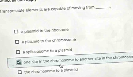 Transposable elements are capable of moving from_
a plasmid to the ribosome
a plasmid to the chromosome
a spliceosome to a plasmid
one site in the chromosome to another site in the chromoson
the chromosome to a plasmid